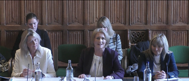 Inquiry goes before the Home Affairs Select Committee